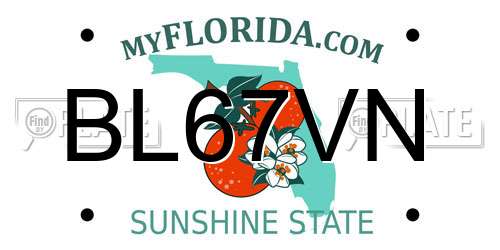 BL67VN Florida License Plate