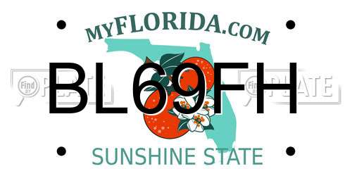 BL69FH Florida License Plate
