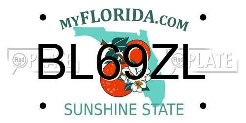 BL69ZL Florida License Plate