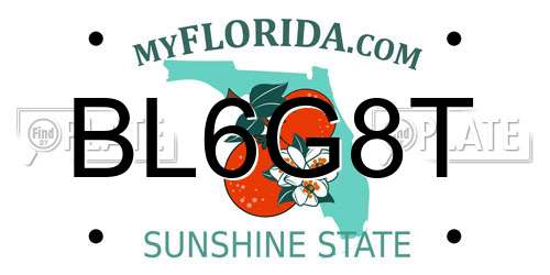 BL6G8T Florida License Plate
