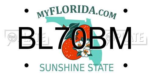 BL70BM Florida License Plate
