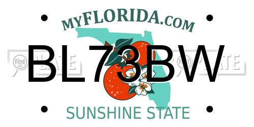BL73BW Florida License Plate