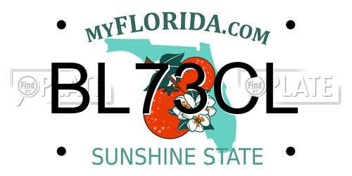 BL73CL Florida License Plate