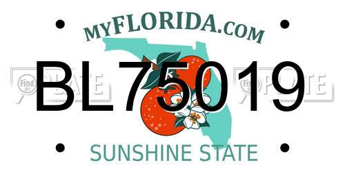 BL75019 Florida License Plate