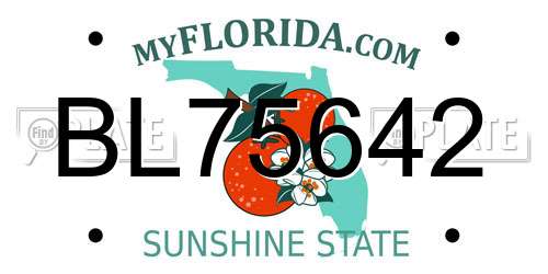BL75642 Florida License Plate