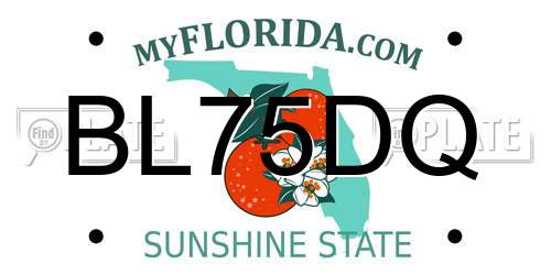 BL75DQ Florida License Plate