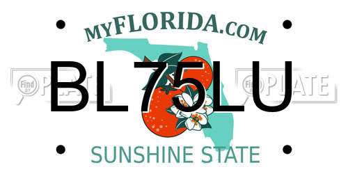 BL75LU Florida License Plate