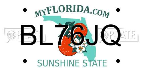 BL76JQ Florida License Plate