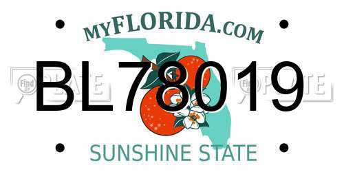 BL78019 Florida License Plate