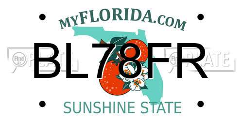 BL78FR Florida License Plate