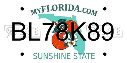BL78K89 Florida License Plate