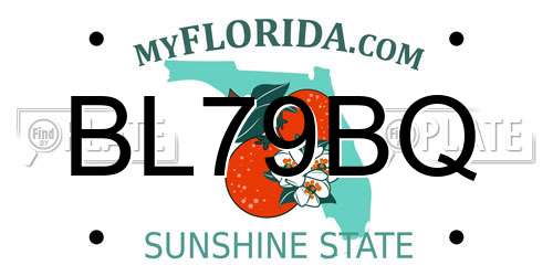 BL79BQ Florida License Plate