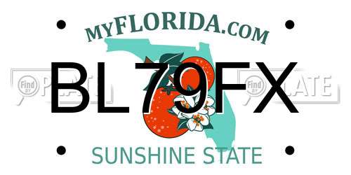 BL79FX Florida License Plate