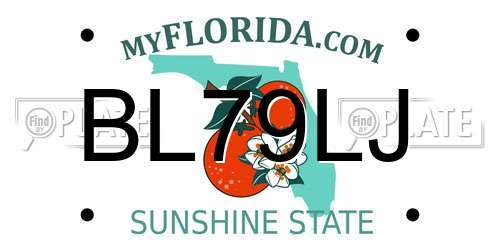 BL79LJ Florida License Plate