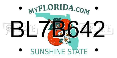 BL7B642 Florida License Plate
