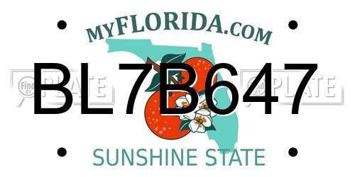 BL7B647 Florida License Plate