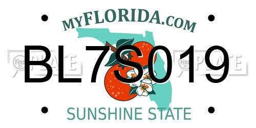 BL7S019 Florida License Plate