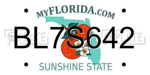 BL7S642 Florida License Plate
