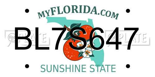 BL7S647 Florida License Plate