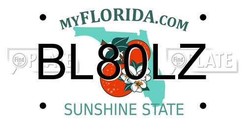 BL80LZ Florida License Plate