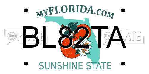 BL82TA Florida License Plate