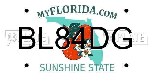 BL84DG Florida License Plate