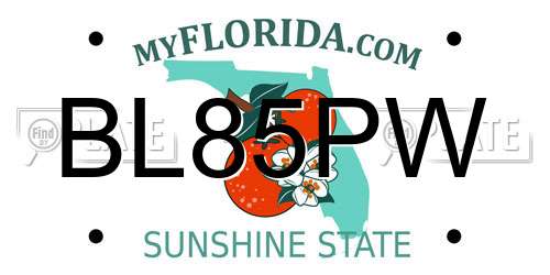BL85PW Florida License Plate