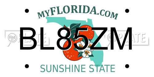 BL85ZM Florida License Plate