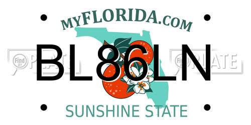 BL86LN Florida License Plate