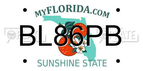 BL86PB Florida License Plate