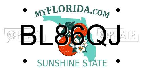 BL86QJ Florida License Plate