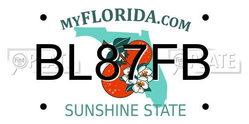 BL87FB Florida License Plate
