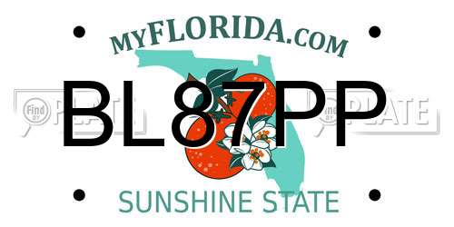 BL87PP Florida License Plate