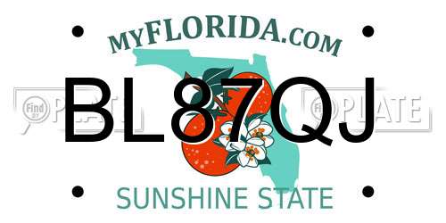 BL87QJ Florida License Plate