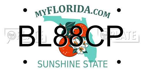 BL88CP Florida License Plate