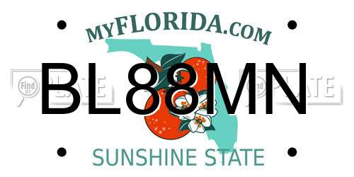 BL88MN Florida License Plate