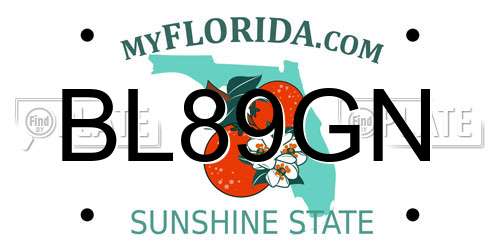 BL89GN Florida License Plate