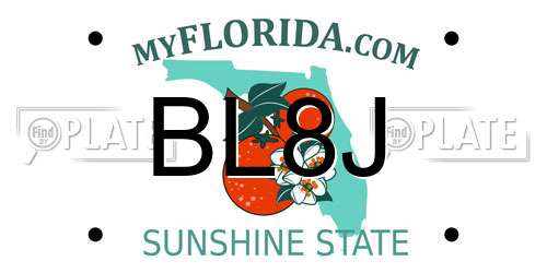 BL8J Florida License Plate