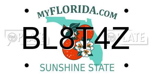 BL8T4Z Florida License Plate