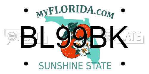 BL99BK Florida License Plate