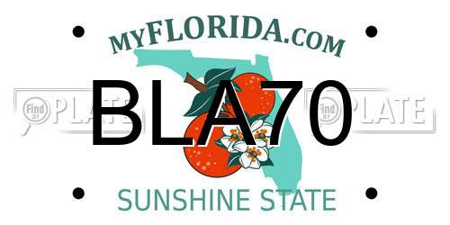 BLA70 Florida License Plate