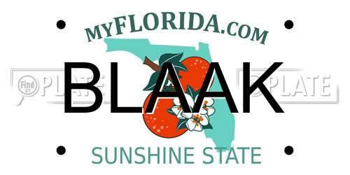 BLAAK Florida License Plate