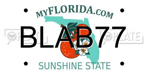 BLAB77 Florida License Plate