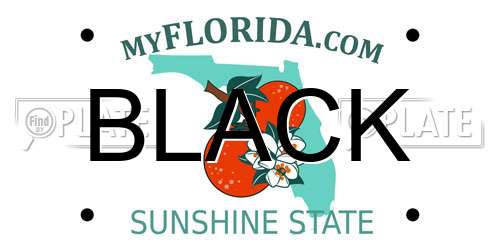 BLACK Florida License Plate