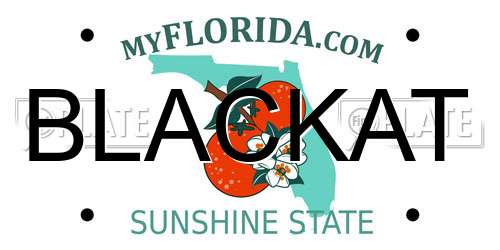 BLACKAT Florida License Plate
