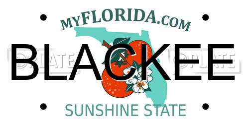 BLACKEE Florida License Plate