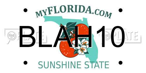 BLAH10 Florida License Plate