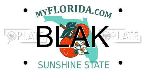 BLAK Florida License Plate