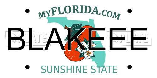 BLAKEEE Florida License Plate