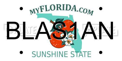 BLAS1AN Florida License Plate